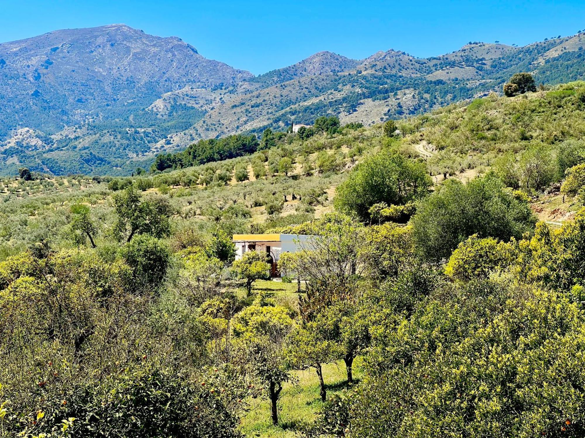 Apartment Finca Martina *
